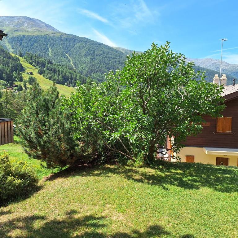 Moosalpe B Bürchen - Appartement avec Vue sur la Montagne - 9