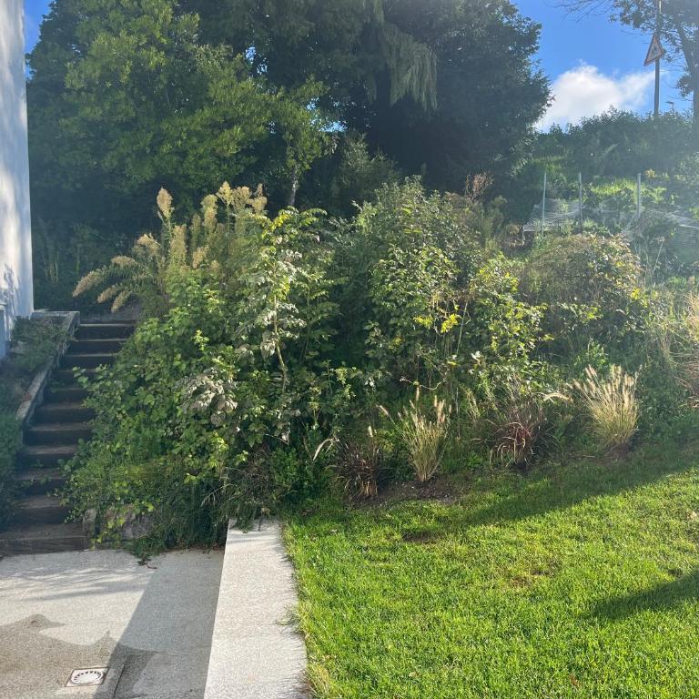 Renovated APT with panoramic view - Deluxe Apartment mit 2 Schlafzimmern und Gartenblick - 23