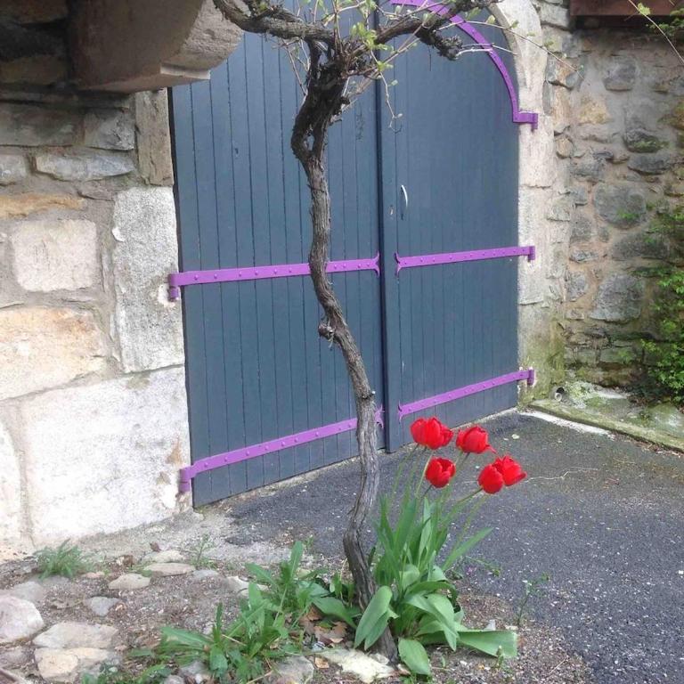 CARDABELLE maison authentique à louer - Maison 2 Chambres - 3