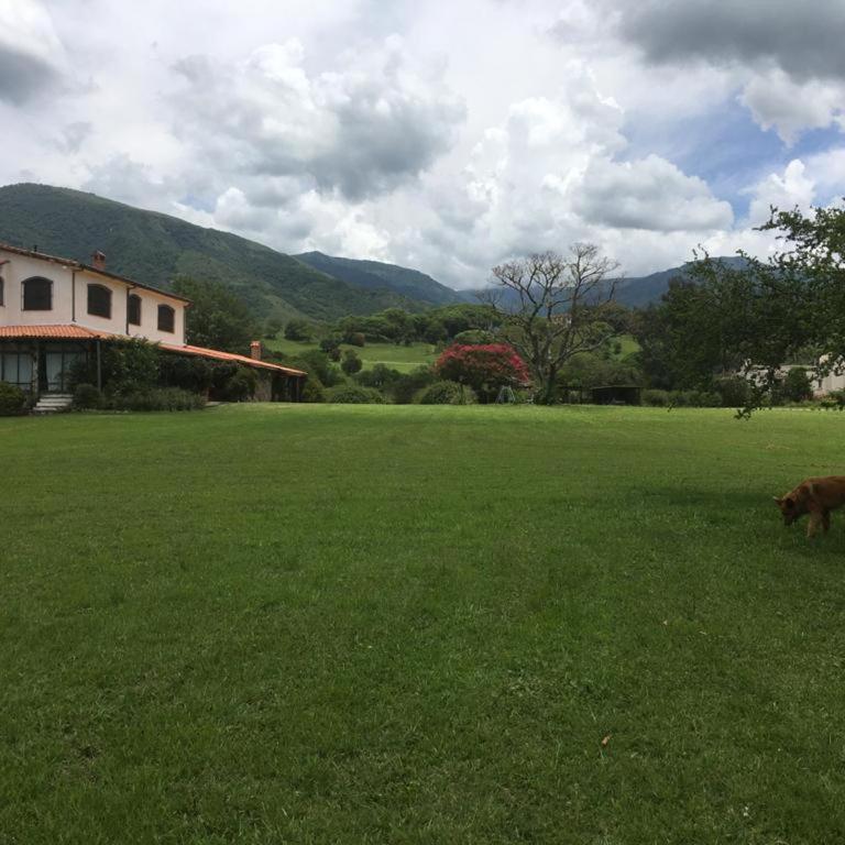 Arnaga - Casa de 7 dormitorios - 1