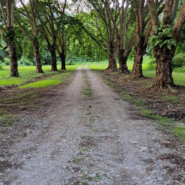 Arnaga - Casa de 7 dormitorios - 17