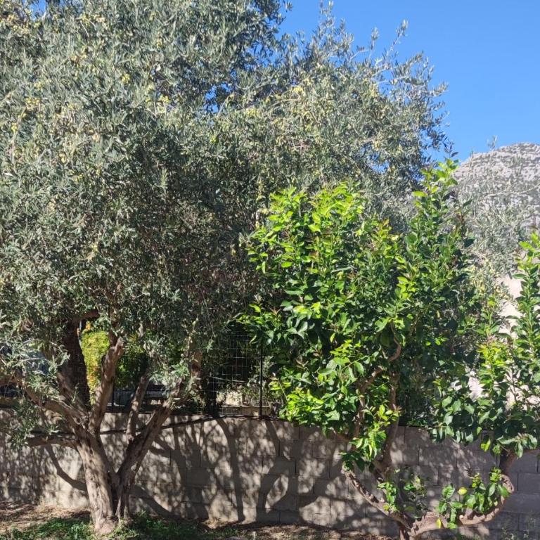 casa su rimediu - Casa Vacanze - 12
