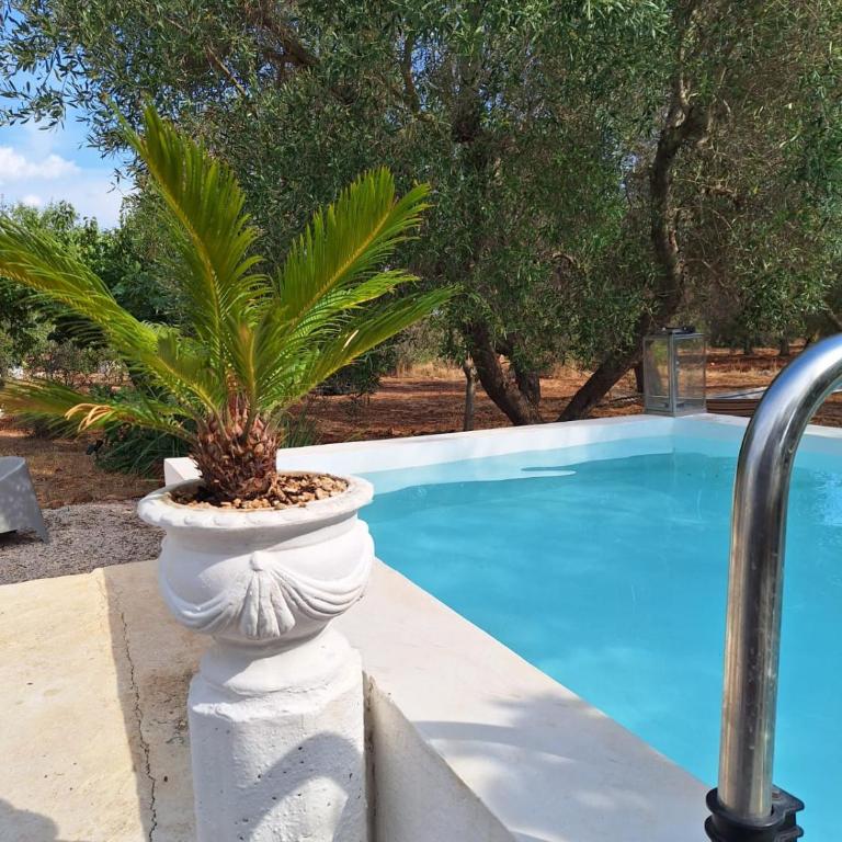 Casa Trullo Bianco: Casa Vicino - Appartamento - Piano Terra - 30