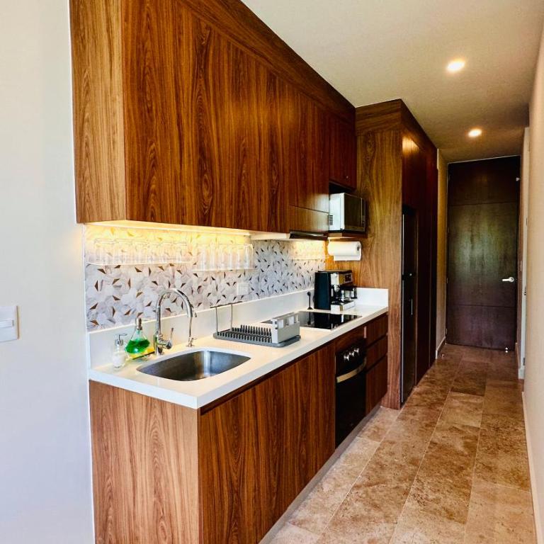 Brand New Paravian Suites by Caribe Rentas - Apartamento Deluxe de 1 dormitorio con vistas al jardín - 2