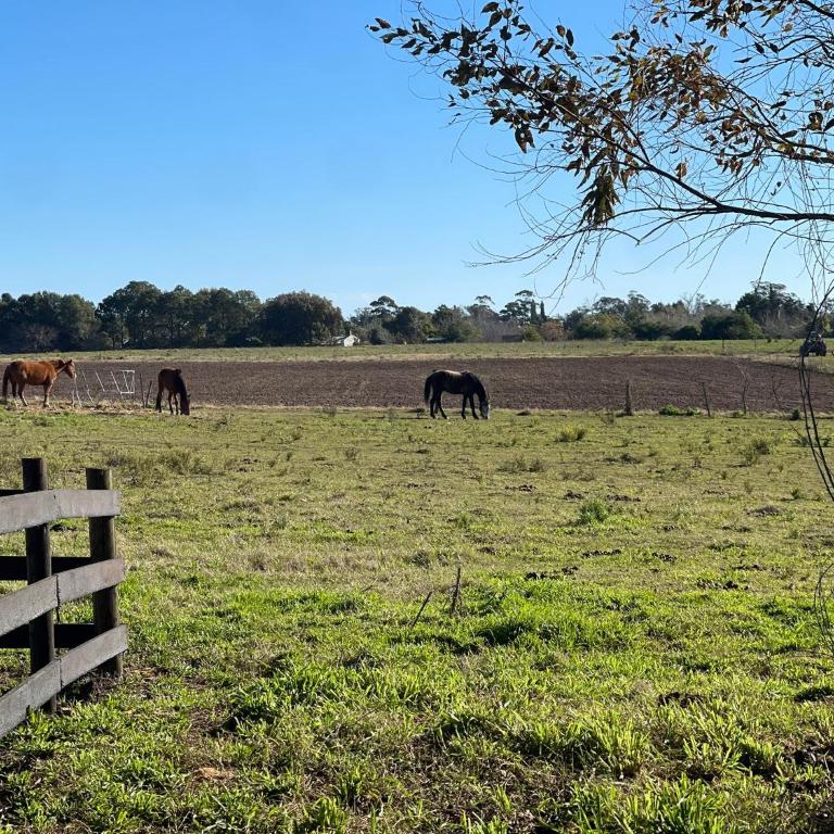 Chacra La Margarita by Posada de la Flor - Three-Bedroom Home - 32