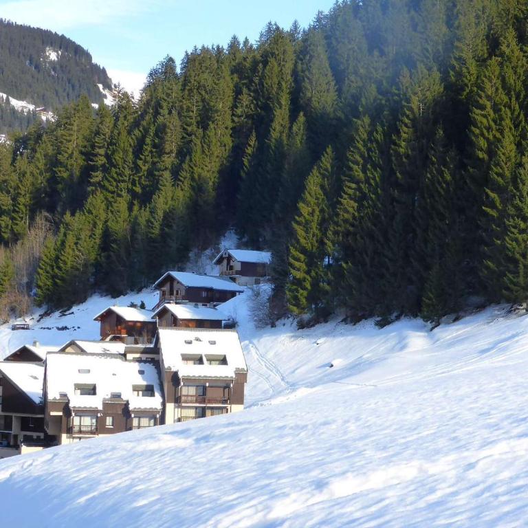 Grand studio cabine 4 pers. avec garage à 600m des remontées mécaniques - Studio - 5