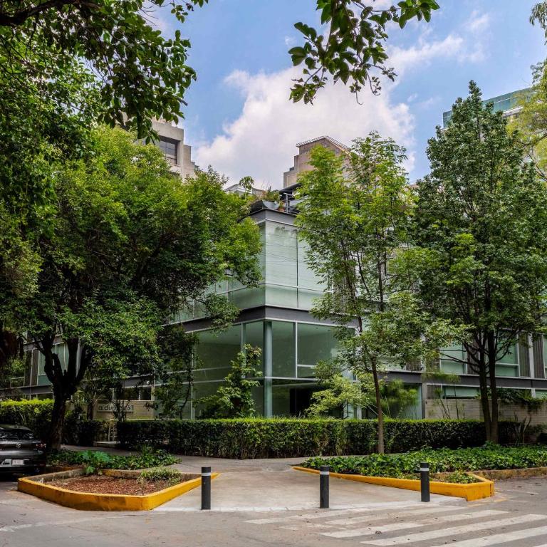 Capitalia Terrace Speed Wifi Explore Polanco - Apartment - 5
