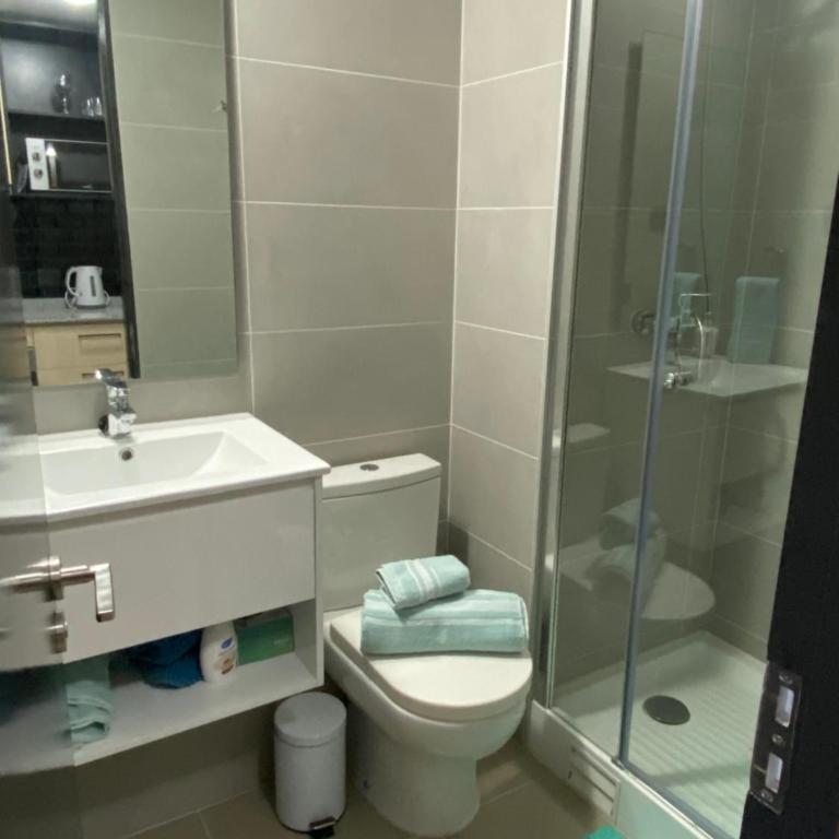 Santiago 3 - Apartamento de 1 dormitorio - 7