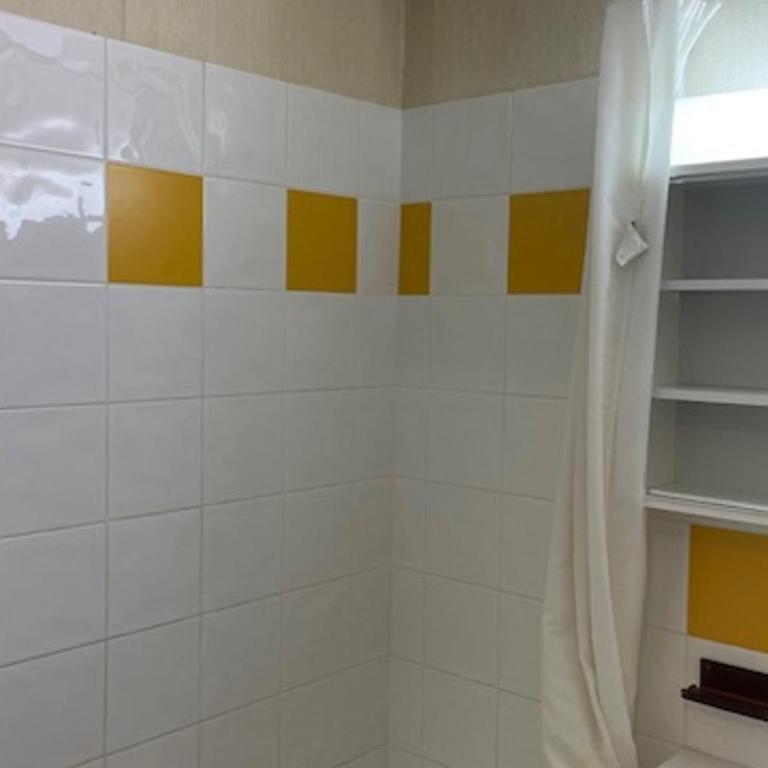 Les Menuires: Bel appt 4 pers, balcon, Wifi, animaux admis - FR-1-574-70 - Monolocale - 2