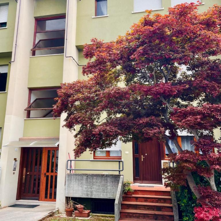 Appartamento su due piani vicino al Policlinico - Appartamento con 1 Camera da Letto - 18