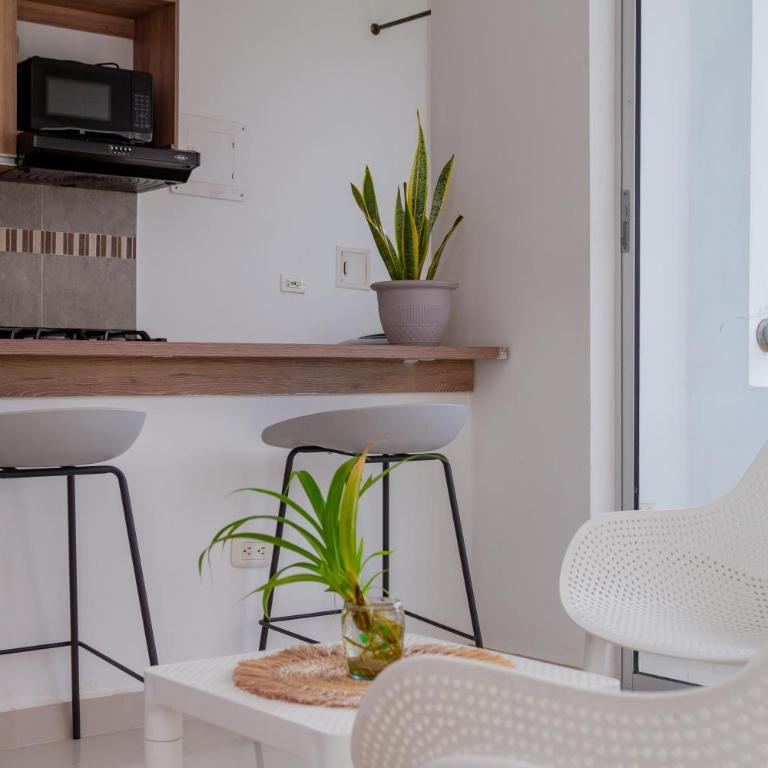 Raíces Caribe 503 - Apartamento de 2 dormitorios - 3