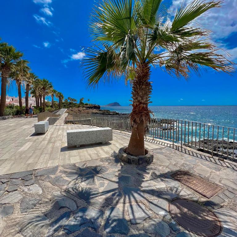 Paz Ocean View Luxury, Air condition, Wifi, Heated pool - Apartamento de 1 dormitorio - 24
