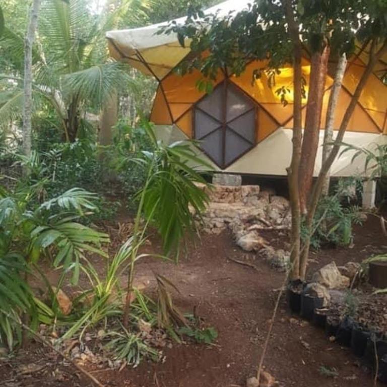 Portal Xibalba - Bungalow with Garden View - 3
