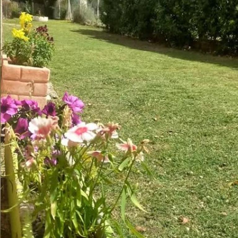 Se alquila casa por dia - One-Bedroom House - 7