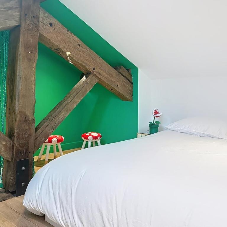 Toulouse-Capitole - Appartement à thème Mario - Appartement 2 Chambres - 6