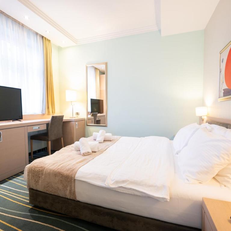 Kopernikus Hotel Prag - Dvokrevetna Soba sa Bračnim Krevetom/Zasebnim Krevetima - 13