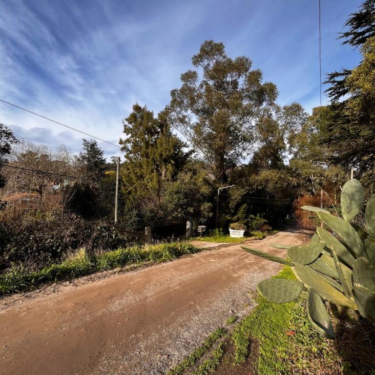 Cabaña vista a la sierra rodeada de verde - Casa con 1 dormitorio - 8