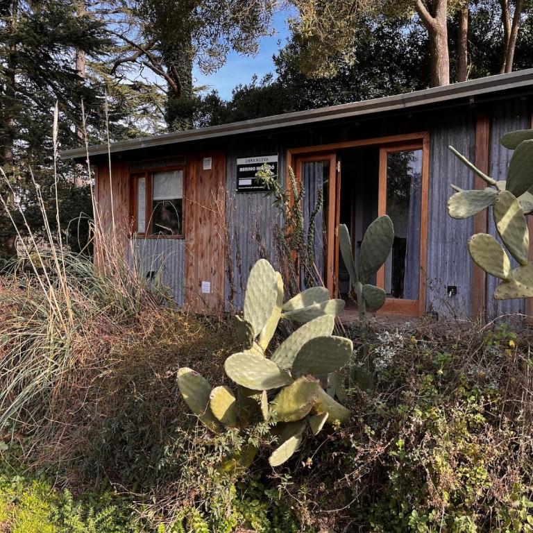 Cabaña vista a la sierra rodeada de verde - Casa con 1 dormitorio - 12