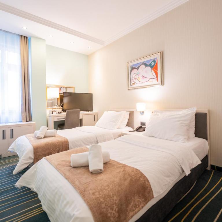 Kopernikus Hotel Prag - Dvokrevetna Soba sa Bračnim Krevetom/Zasebnim Krevetima - 22