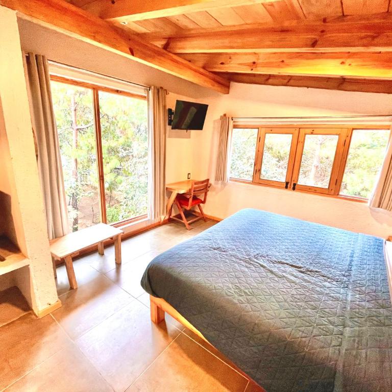 Cabaña Roble - One-Bedroom House - 2