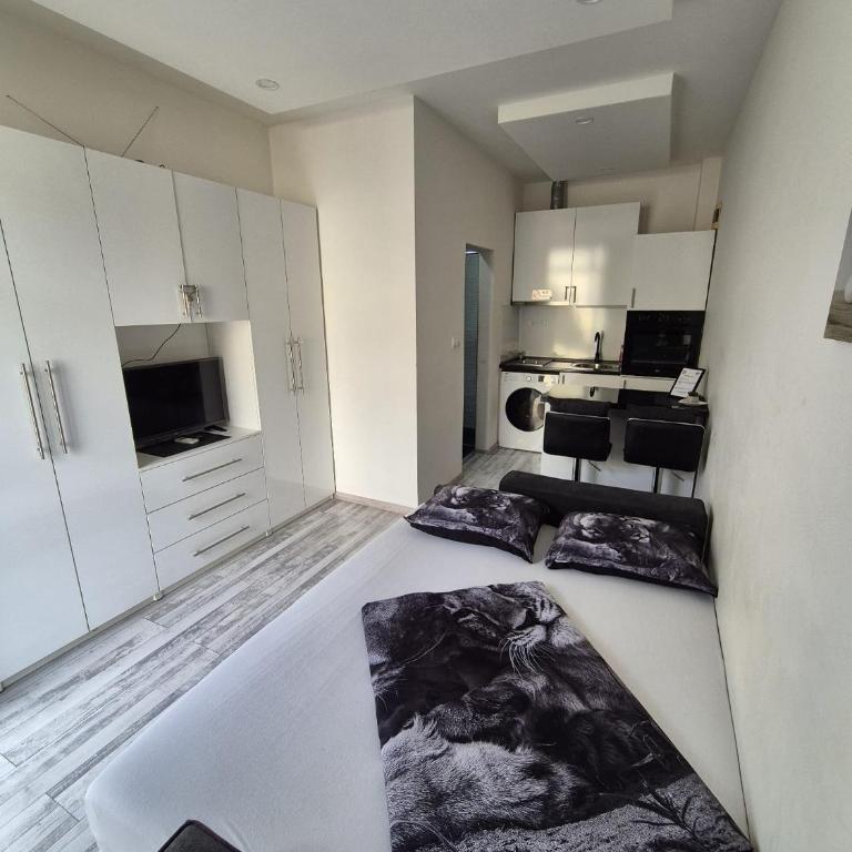 Apartman Novak - Apartman sa 1 Spavaćom Sobom - 1