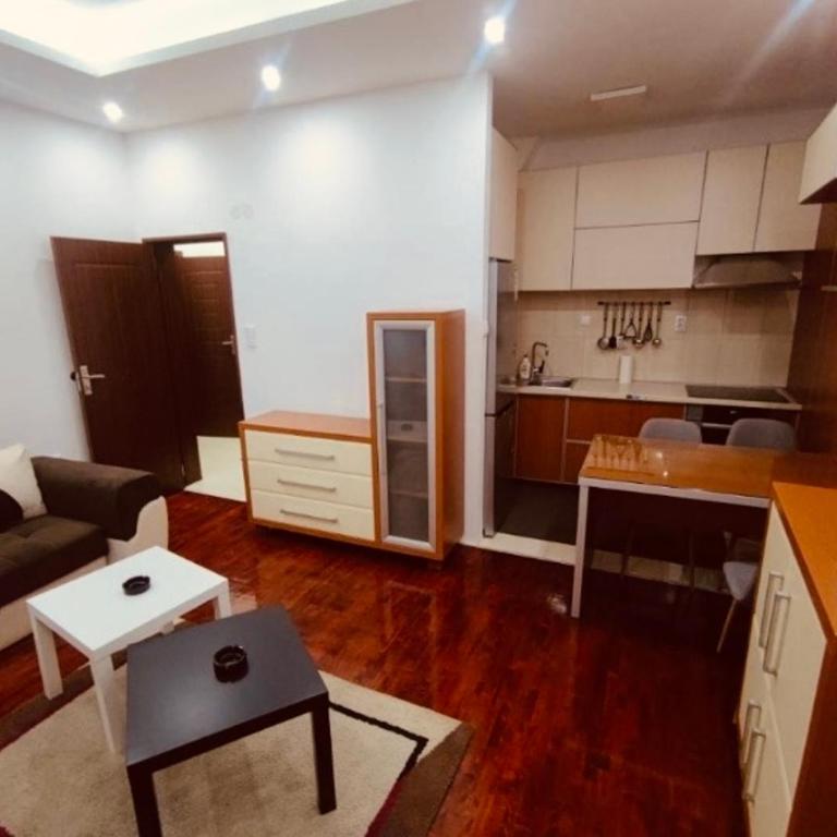 Niš Apartment - One-Bedroom Apartment - 4