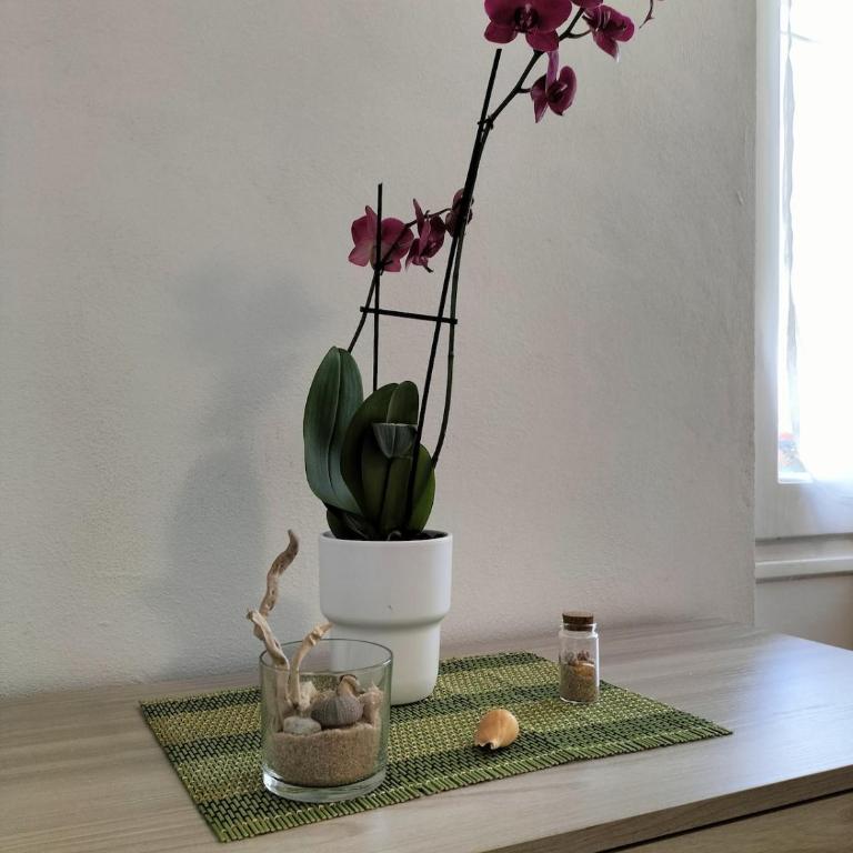 New House La Spezia - One-Bedroom Apartment - 16