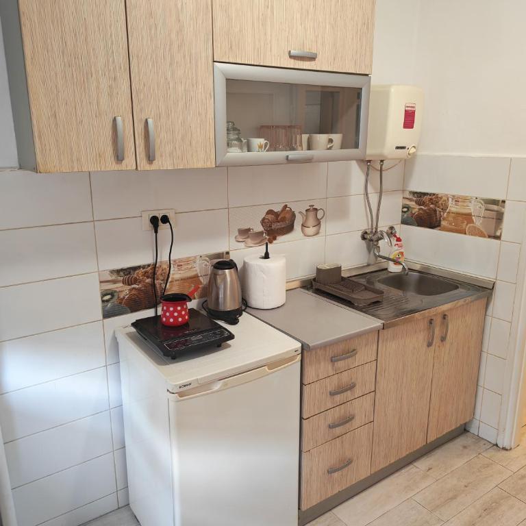 Kraljevica Marka Apartman - Apartman sa 1 Spavaćom Sobom - 8