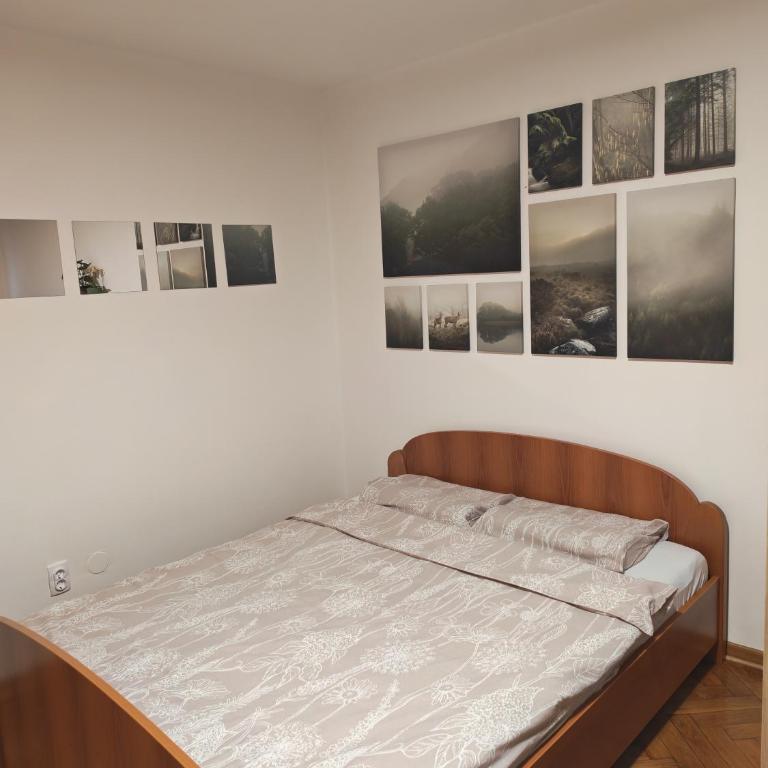 Kraljevica Marka Apartman - Apartman sa 1 Spavaćom Sobom - 2