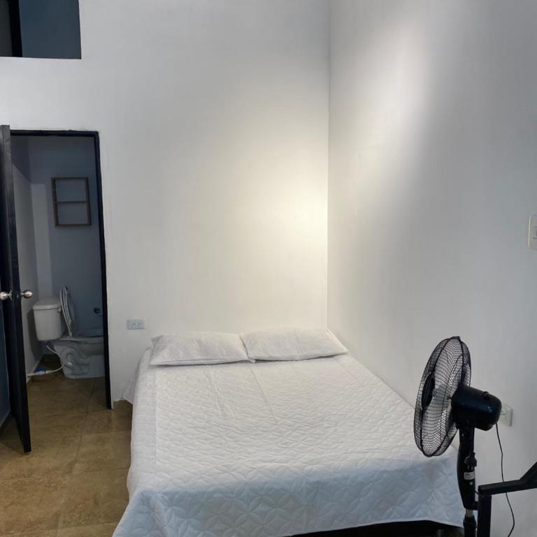 Apartaestudio monoambiente 204 - Apartamento de 1 dormitorio - 6