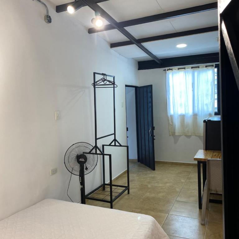 Apartaestudio monoambiente 204 - Apartamento de 1 dormitorio - 3