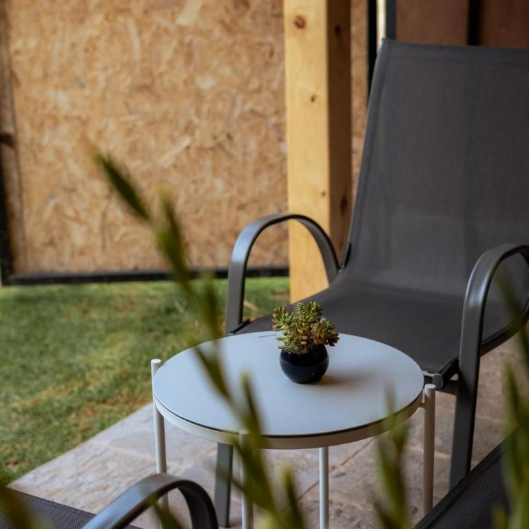 Tiny house con tina medicinal - One-Bedroom Chalet - 17