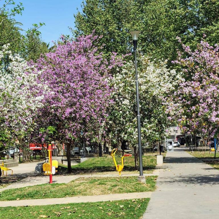 Lamadrid - One-Bedroom Apartment - 13
