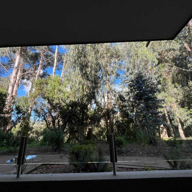 Bosque y mar de Papudo - Three-Bedroom Apartment - 20