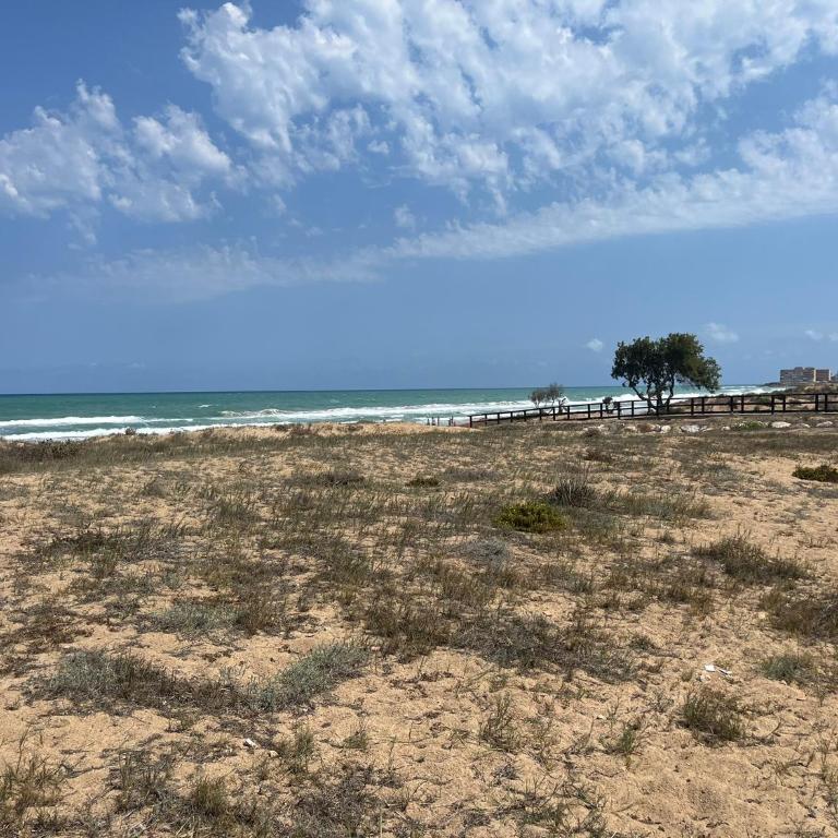 La Mata 7 Sea View, Pool, 100m Beach - Apartamento de 2 dormitorios - 21