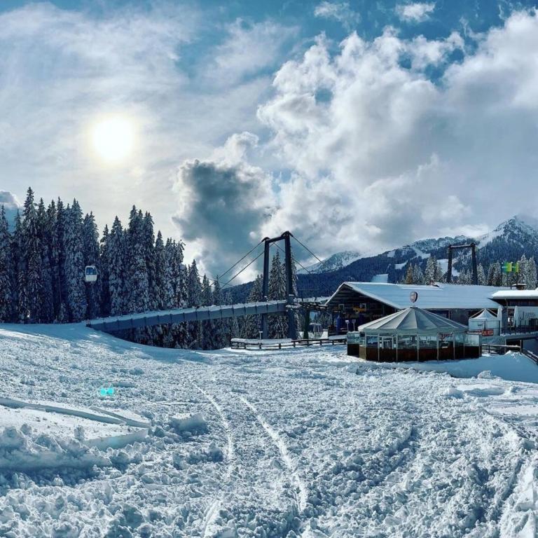 Chalet Golf Campiglio / LuxApt / fronte piste-impianti-golf - Appartamento con Vista Montagna - 20