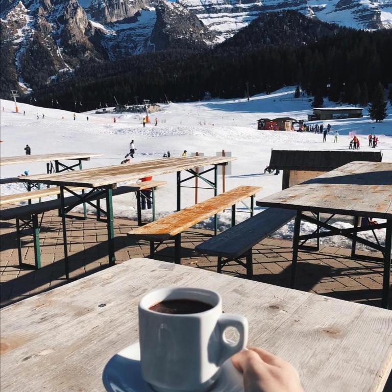 Chalet Golf Campiglio / LuxApt / fronte piste-impianti-golf - Appartamento con Vista Montagna - 21