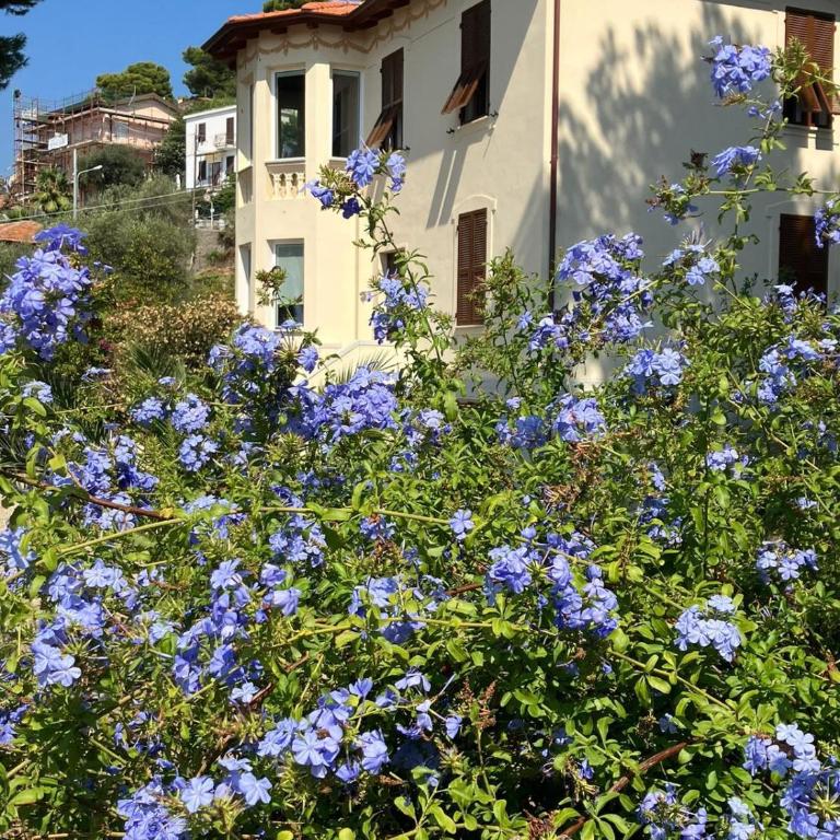 Villa Fontana 56 - Appartamento con Vista Mare - 36