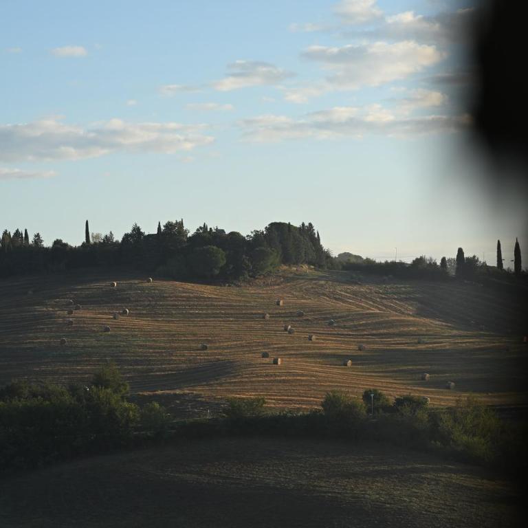 Agriturismo La Terrazza sul Mangia - Appartamento con 2 Camere da Letto - 41