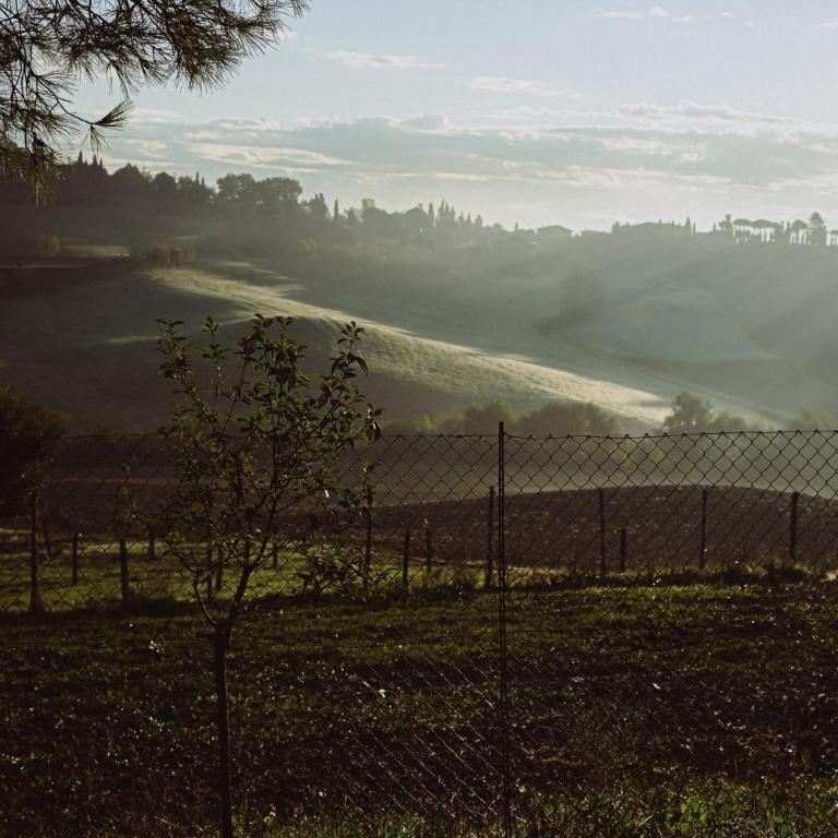 Agriturismo La Terrazza sul Mangia - Appartamento con 2 Camere da Letto - 42