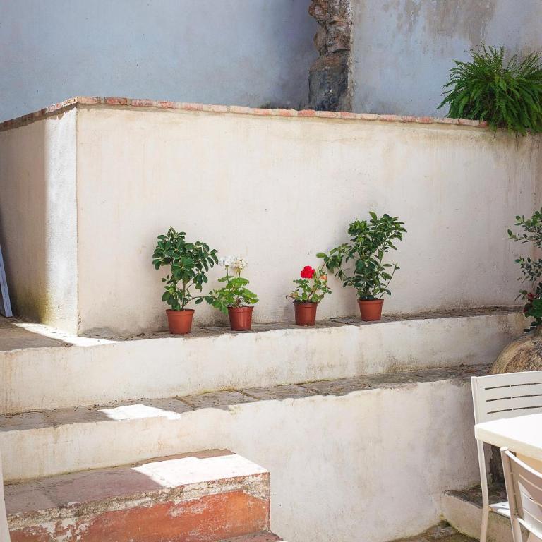 Casa Piletas - Califa Casas Vejer - Casa - 32