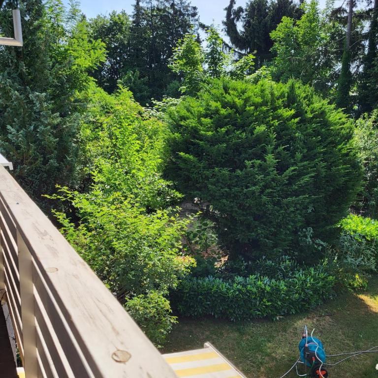 Gemütliche Oase im Grünen - Apartment mit 1 Schlafzimmer - 25