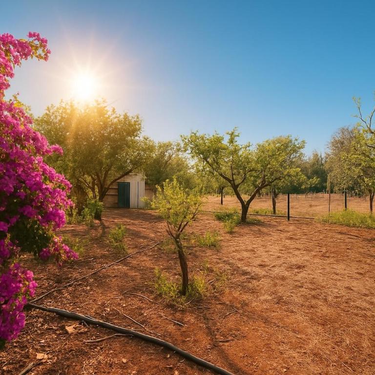 Villa nel Salento con piscina e ulivi - Villa con 3 Camere da Letto - 28