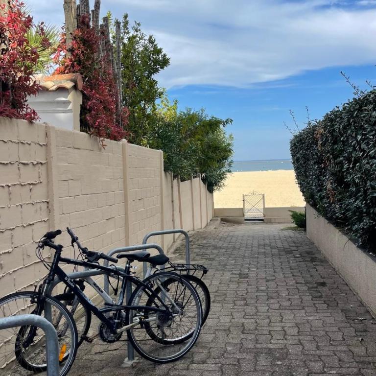 Première ligne - Vue mer exceptionnelle - Accès direct plage - Grand balcon - Parking privatif clos - Tout à pieds - Appartamento con 1 Camera da Letto e Vista Oceano - 21