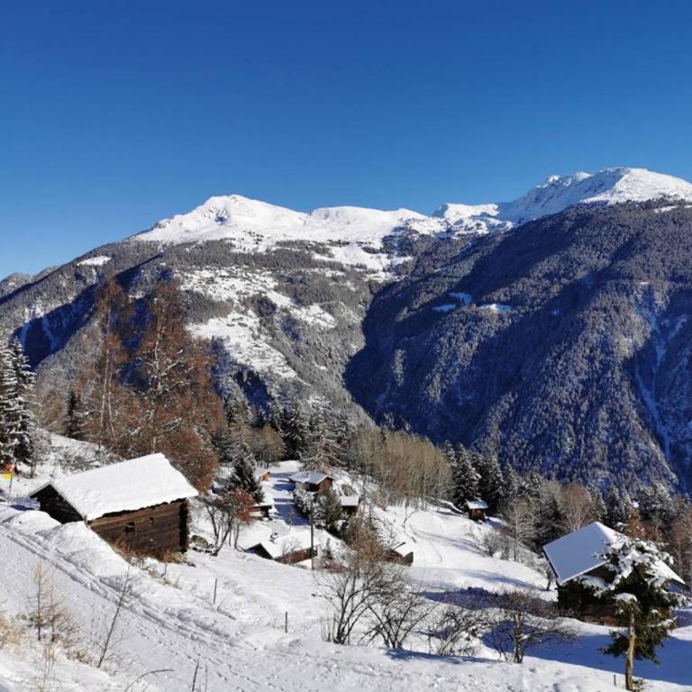 Hüttli Chalet Weitblick 10 Minuten zur Skigondel und Aletschgletscher - Apartment mit 1 Schlafzimmer - 16