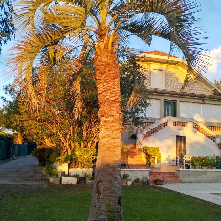 La Belle Époque du Sud - lumineux et authentique - Appartement 3 Chambres - 2