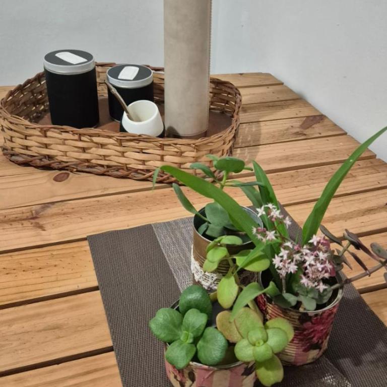 Lumina - One-Bedroom Apartment - 4