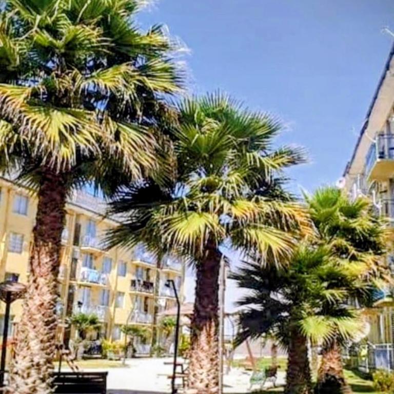 Departamento Peñuelas Oriente - Two-Bedroom Apartment - 17