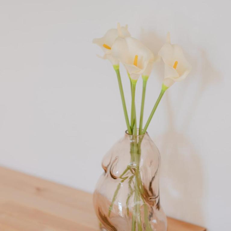 Bella Vita - "comme à la maison" - Appartement - 20
