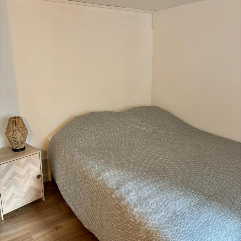 Hypercentre - Le Vieux Marché - One-Bedroom Apartment - 5